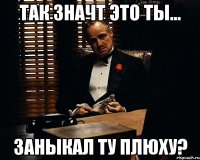 так значт это ты... заныкал ту плюху?