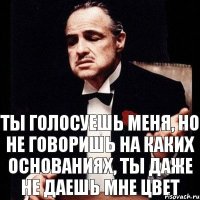 Ты голосуешь меня, но не говоришь на каких основаниях, ты даже не даешь мне цвет