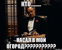 кто......... насал в мой огород???