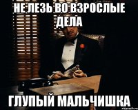 не лезь во взрослые дела глупый мальчишка