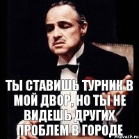 Ты ставишь турник в мой двор, но ты не видешь других проблем в городе