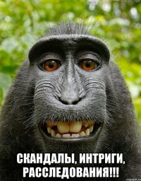  скандалы, интриги, расследования!!!