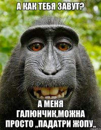 а как тебя завут? а меня галюнчик,можна просто ,,падатри жопу,,