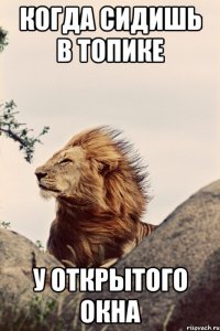 когда сидишь в топике у открытого окна