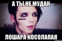 а ты не мудак лошара косолапая