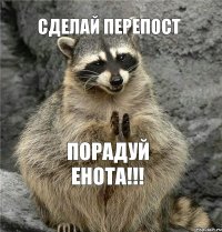 СДЕЛАЙ ПЕРЕПОСТ ПОРАДУЙ ЕНОТА!!!