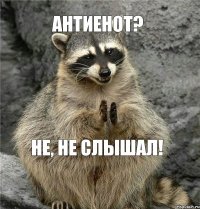 АнтиЕнот? Не, не слышал!