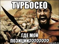 турбосео где мои позиции???