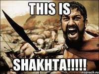 this is shakhta!!!