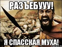 разъебууу! я спасская муха!