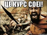 це курс соеі! 