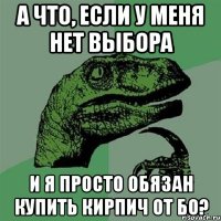 а что, если у меня нет выбора и я просто обязан купить кирпич от бо?