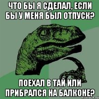 что бы я сделал, если бы у меня был отпуск? поехал в тай или прибрался на балконе?