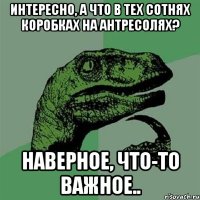 интересно, а что в тех сотнях коробках на антресолях? наверное, что-то важное..