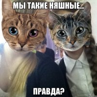 мы такие няшные... правда?