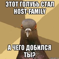 этот голубь стал host-family а чего добился ты?
