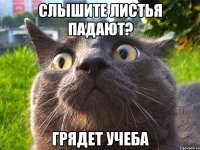 слышите листья падают? грядет учеба