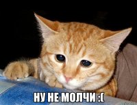  ну не молчи :(