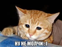  ну не молчи ; (