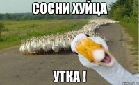 сосни хуйца утка !