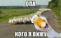 опа кого я вижу