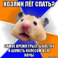 хозяин лёг спать? самое время грызть клетку и шуметь колесом всю ночь!