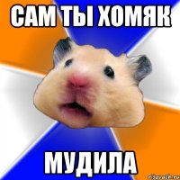 сам ты хомяк мудила