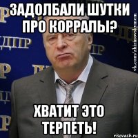 задолбали шутки про корралы? хватит это терпеть!