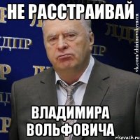 не расстраивай владимира вольфовича