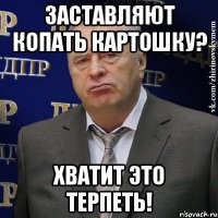 заставляют копать картошку? хватит это терпеть!