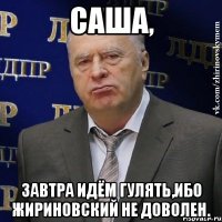 саша, завтра идём гулять,ибо жириновский не доволен.