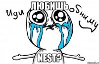 любишь nest?