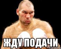  жду подачи