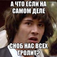 а что если на самом деле сноб нас всех тролит?