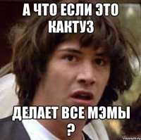 а что если это кактуз делает все мэмы ?