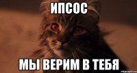 ипсос мы верим в тебя