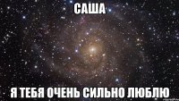 саша я тебя очень сильно люблю