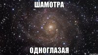 шамотра одноглазая