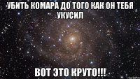 убить комара до того как он тебя укусил вот это круто!!!