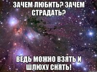 зачем любить? зачем страдать? ведь можно взять и шлюху снять!