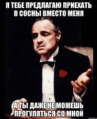 я тебе предлагаю приехать в сосны вместо меня а ты даже не можешь прогуляться со мной