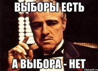 выборы есть а выбора - нет