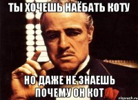 ты хочешь наёбать коту но даже не знаешь почему он кот
