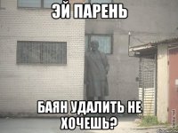 эй парень баян удалить не хочешь?