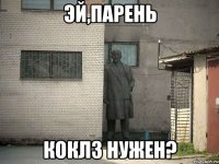 эй,парень коклз нужен?