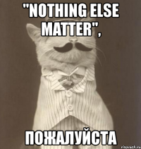 "nothing else matter", пожалуйста