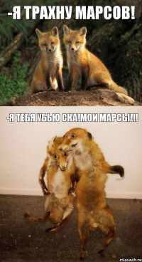 -Я трахну Марсов! -Я тебя убью ска!Мои Марсы!!!