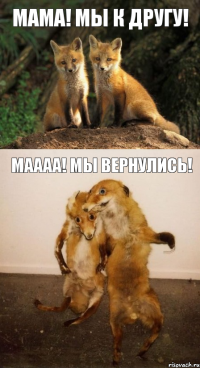 мама! мы к другу! маааа! мы вернулись!