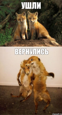 ушли вернулись