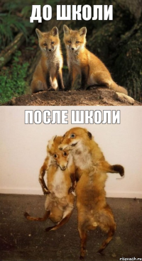 ДО ШКОЛИ ПОСЛЕ ШКОЛИ